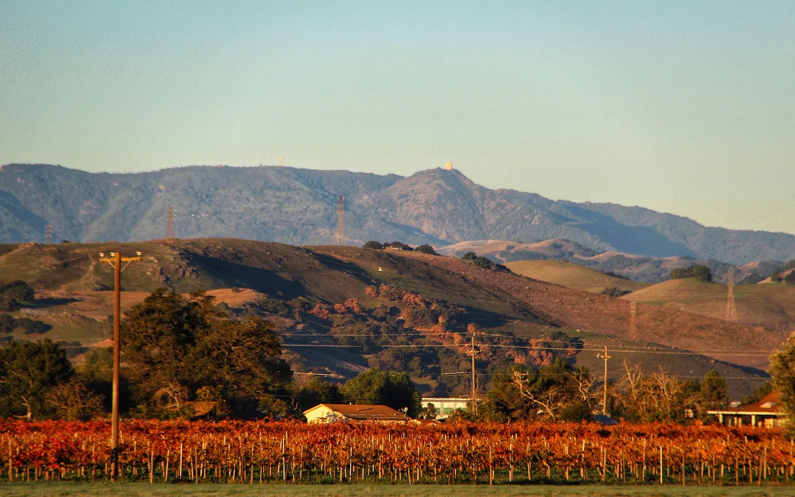 Vineyard landscape in Morgan Hill, California